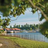 Chichester Marina