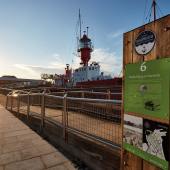 Mayflower trail Harwich 