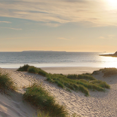 saunton_sand_dunes_credit_northdevon