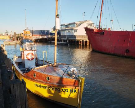 seal_watching_boat_harwich_credit_visit_essex-min