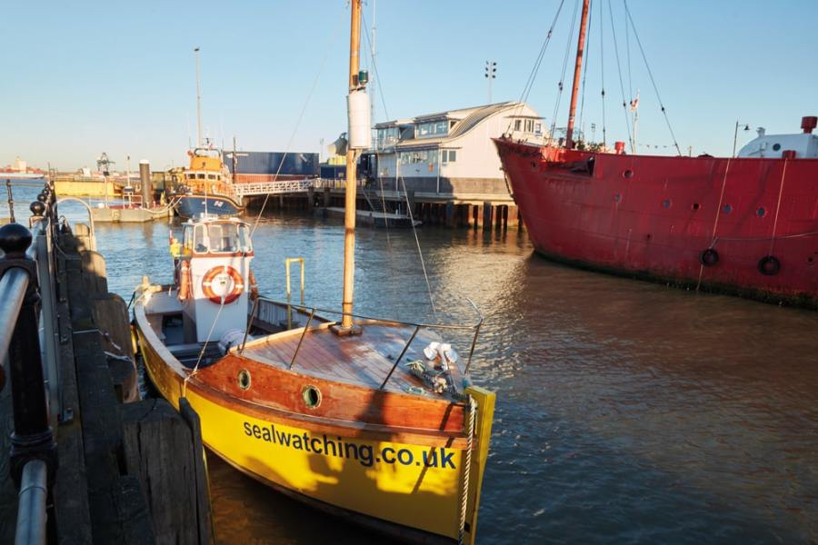 seal_watching_boat_harwich_credit_visit_essex-min