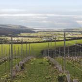 Rathfinny. Photo credit Rathfinny Estate extended
