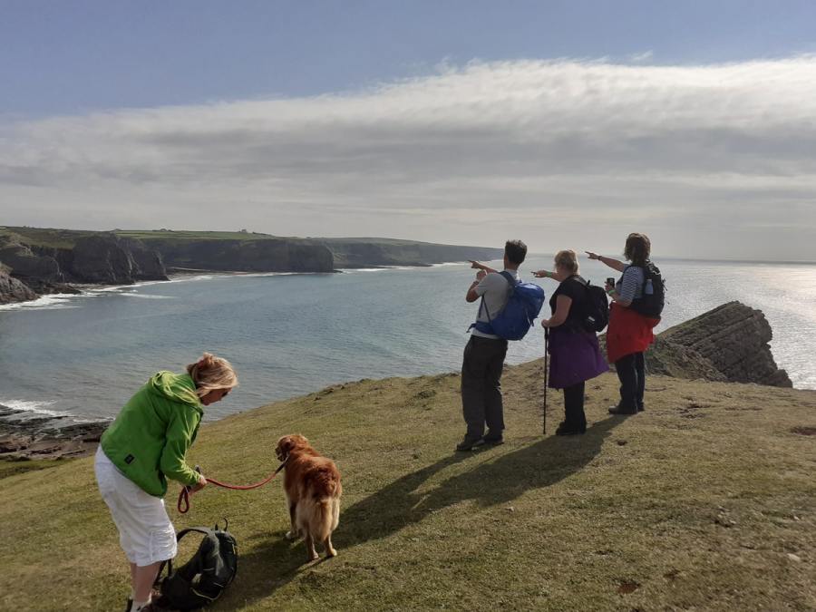 GOWER WALKING FESTIVAL, Mewslade Walk