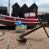 Follow that Duck - Albert and the RX Boat