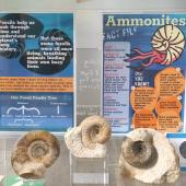 West Bay Discovery Centre