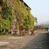 Bossington Hall terrace