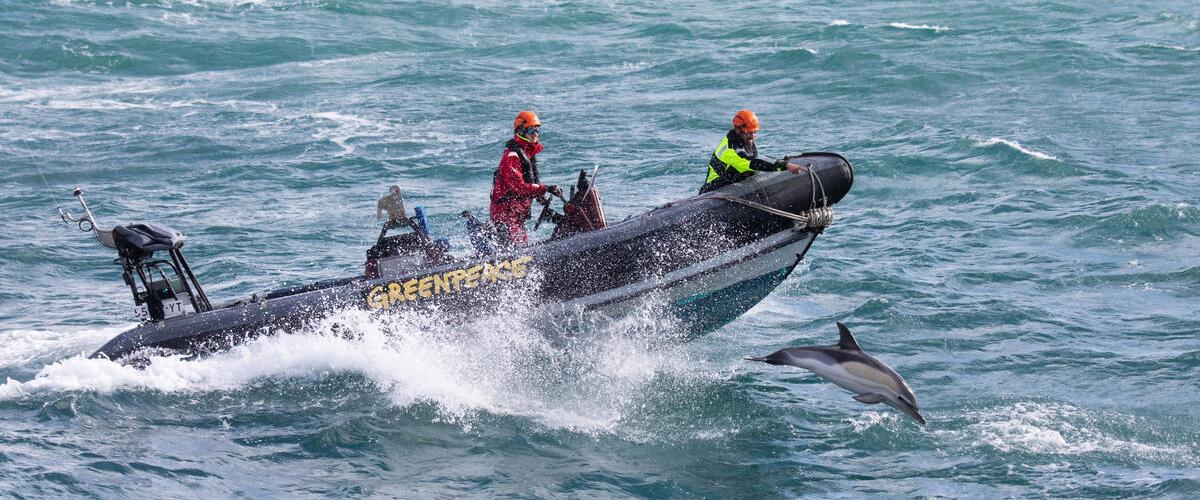 Boat technician Calum and deck hand Pablo drive the rhib with dolphins alongside.