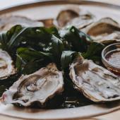 Oyster platter. Photo credit Matt Austin