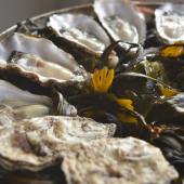Oyster platter. Photo credit Matt Austin