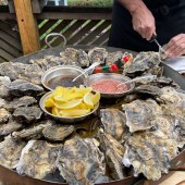 Oysters on large tray. Photo credit Matt Austin