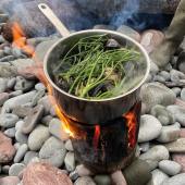 Coastal Foraging Carmarthenshire. Photo credit Sian Lewis