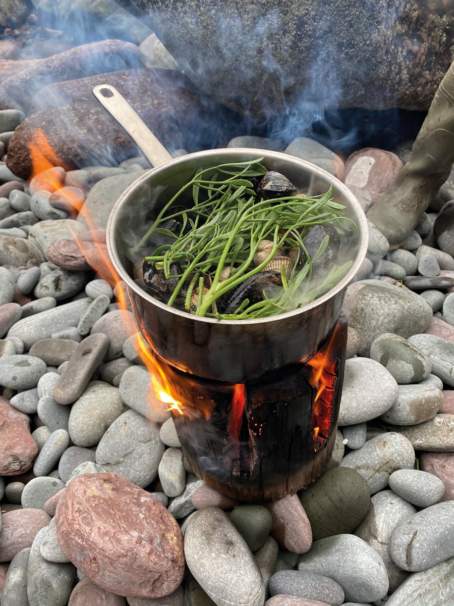 Coastal Foraging Carmarthenshire. Photo credit Sian Lewis