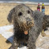 Alan enjoying his time in Southwold. Paul Westgate