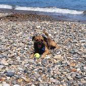 Another great day at Sandsend beach for Douglas. He loves the coast, as we all do. Harry, Helena & Douglas