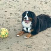 Elsie Turner playing football on Cornish beach. David Turner