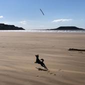 Sid on holiday on the Gower peninsula. John George