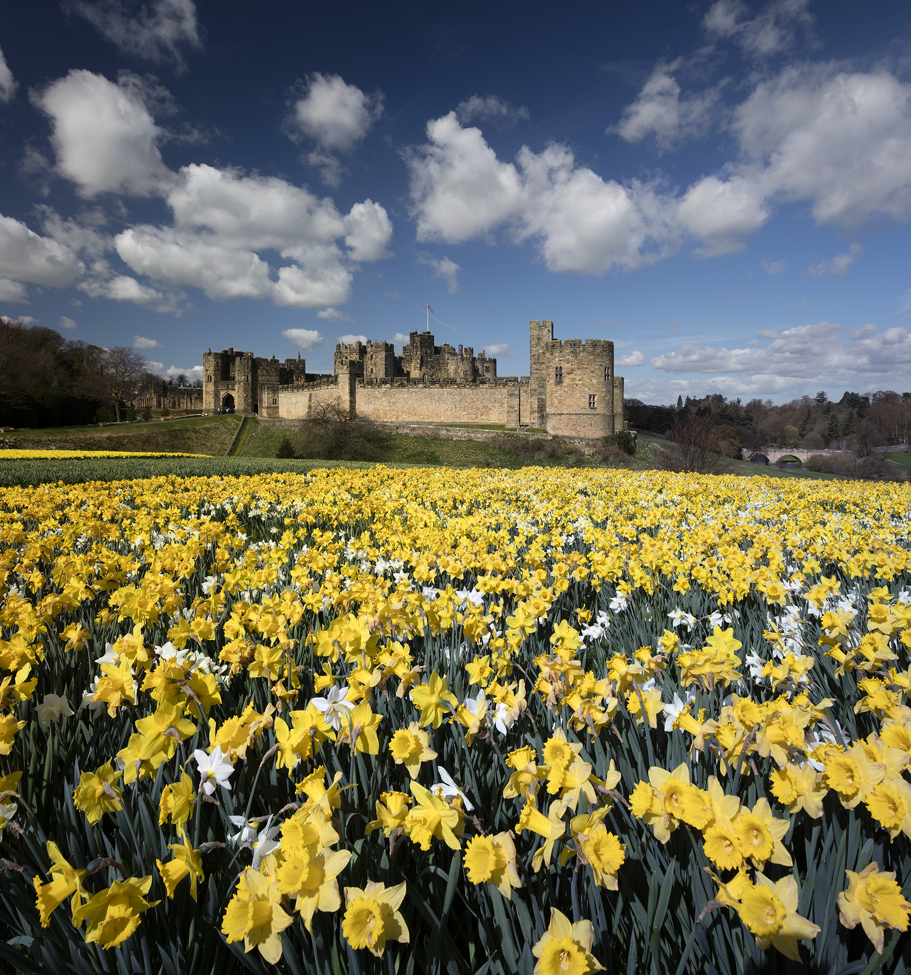 Move to… Alnwick and Alnmouth Coast Magazine