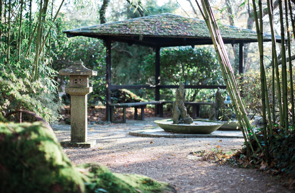 Spend a peaceful day immersed in nature at the Japanese Garden near Newquay