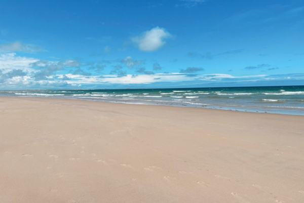 The golden sandy beach at Alnmouth. Photography Tracey Bloxham