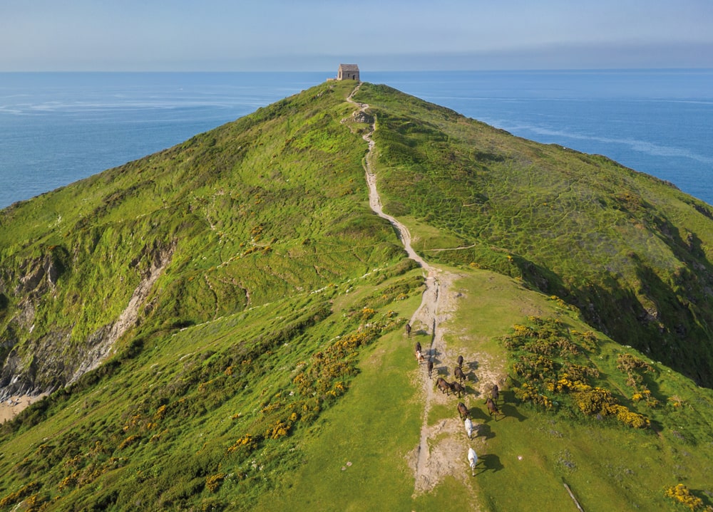Rame Head features in The Salt Path film. The short, easy circular walk around the headland and Old Chapel is great for bird-spotting, and rewards walkers with far-reaching views 
of the coast in both directions – on days with good visibility, you may even see Eddystone Lighthouse 