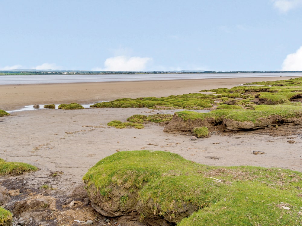 Where the salt marsh meets the beach on the stunning Solway Firth - The Barnacle Goose