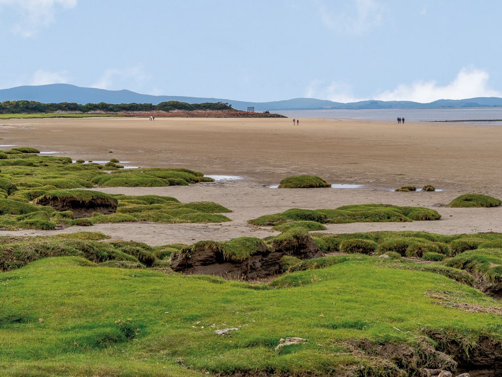 The Solway Coast has an ‘edge-of-the-earth’ beauty - The Barnacle Goose