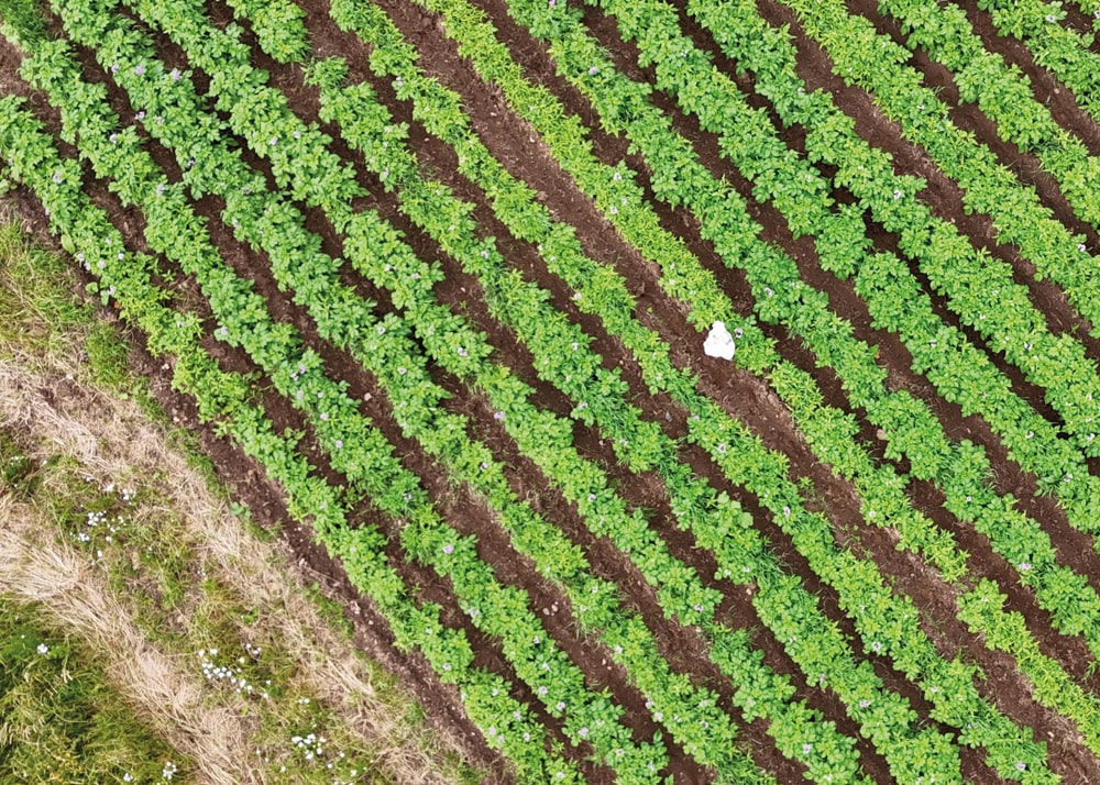 Câr-y-Môr’s goal is to produce sustainable food from land and sea 