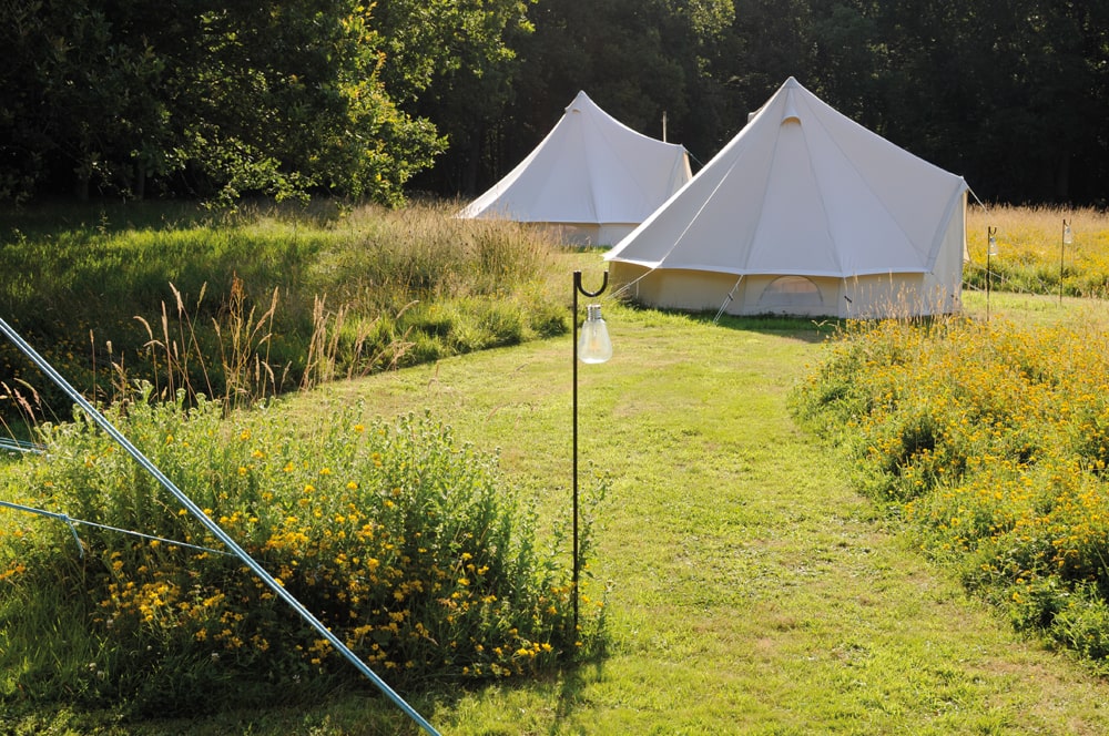 Spot House Farm, Romney Marsh, Kent