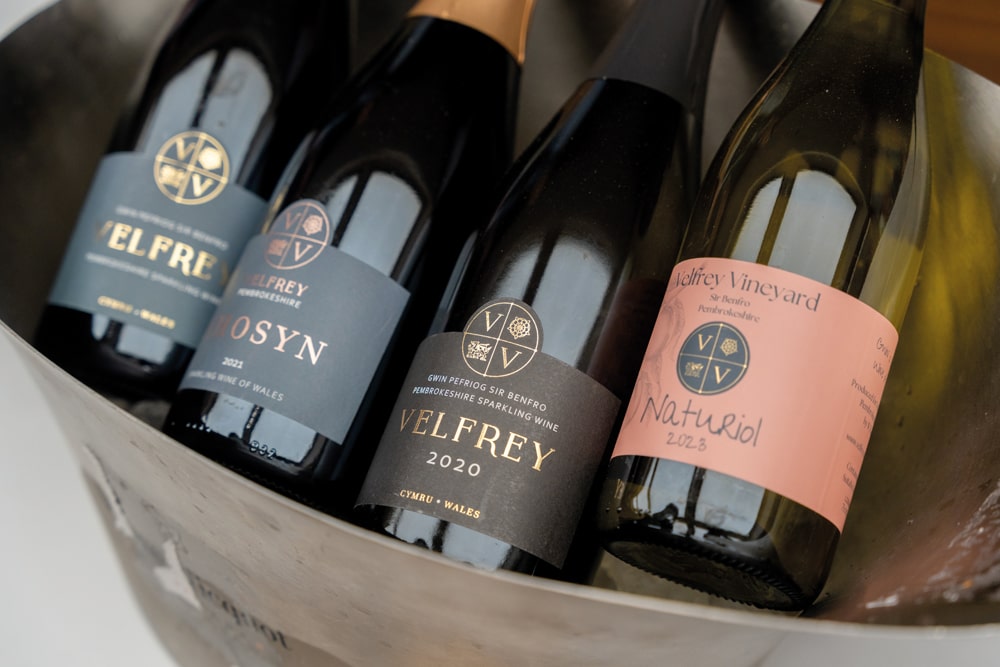 Velfrey Vineyard