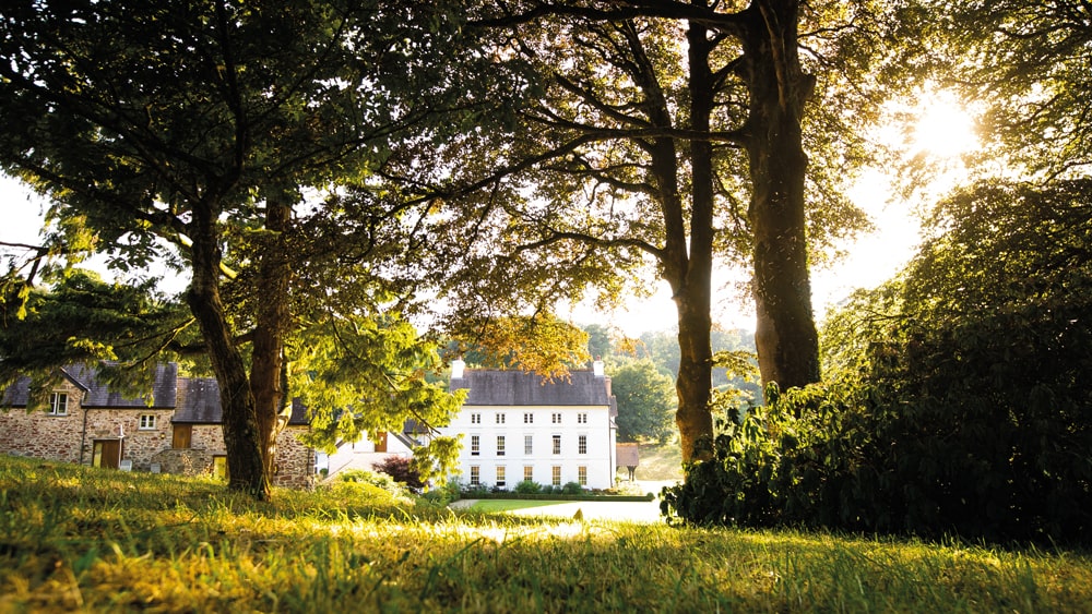 Grove of Narberth garden