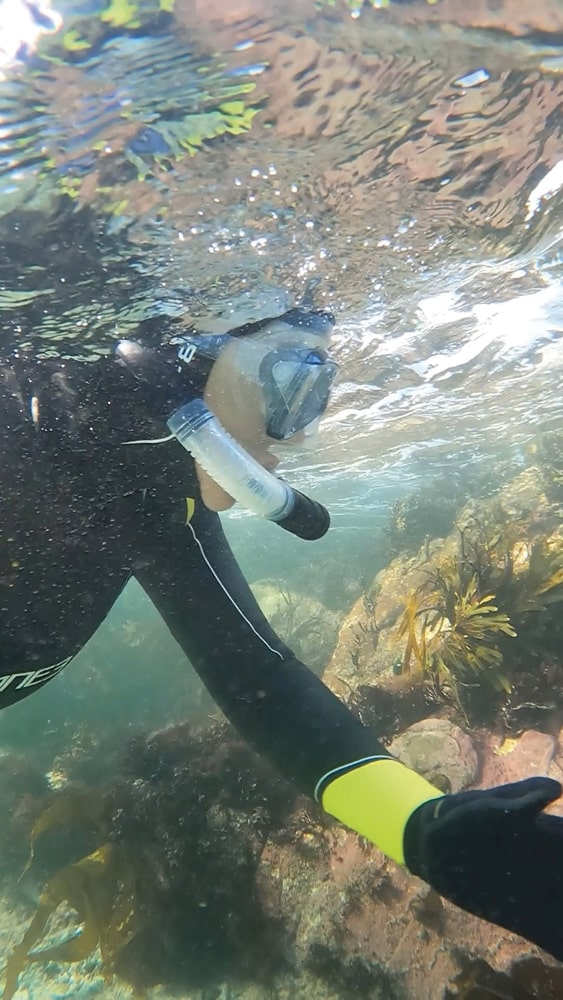 Bonnie says the clarity of the Hebridean sea is ‘extraordinary