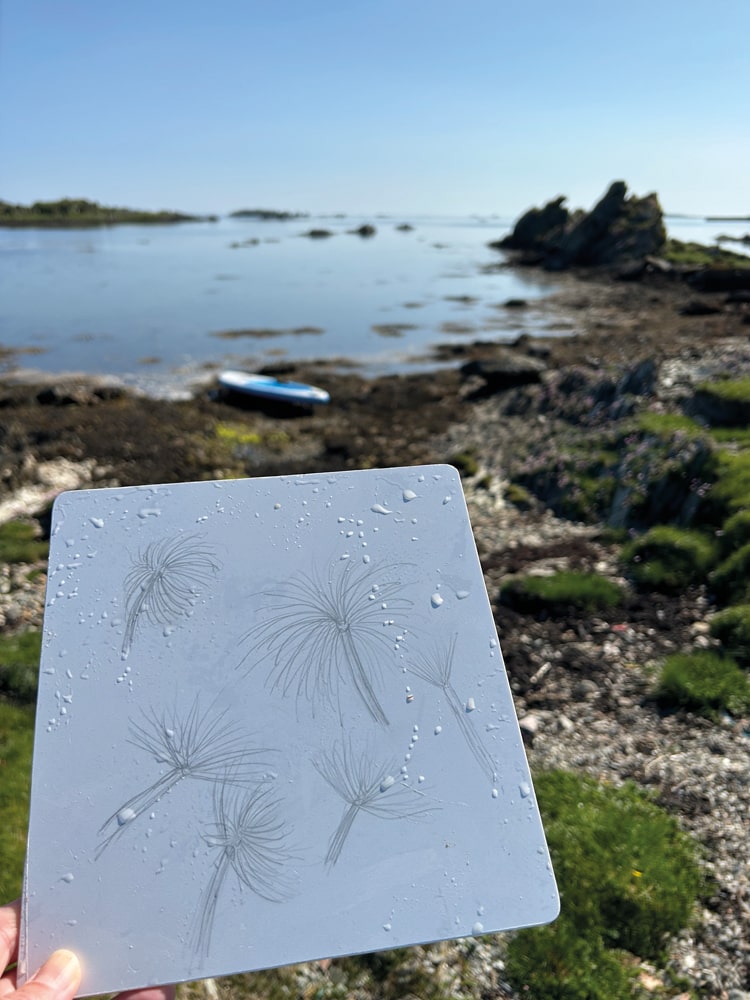 Peacock worms sketched on a dive slate