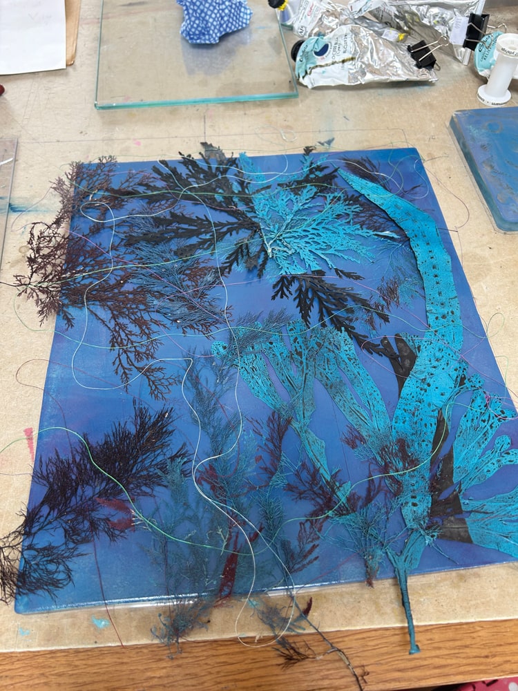 A Beneath the Waves artwork in progress – these are crafted using pressed drift seaweed – collected while snorkelling – and vegetable oil-based inks