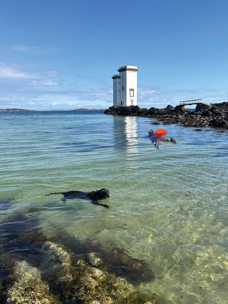 Bonnie snorkels near Carraig Fhada Lighthouse at Kilnaughton Bay, as Islay Prints mascot Mossy enjoys a dog paddle