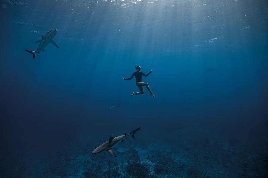 Aquaballet features freediver Marianne Aventurier ‘dancing’ with marine wildlife. Photography ocean film festival, Greg Gyselinck, Alex Voyer