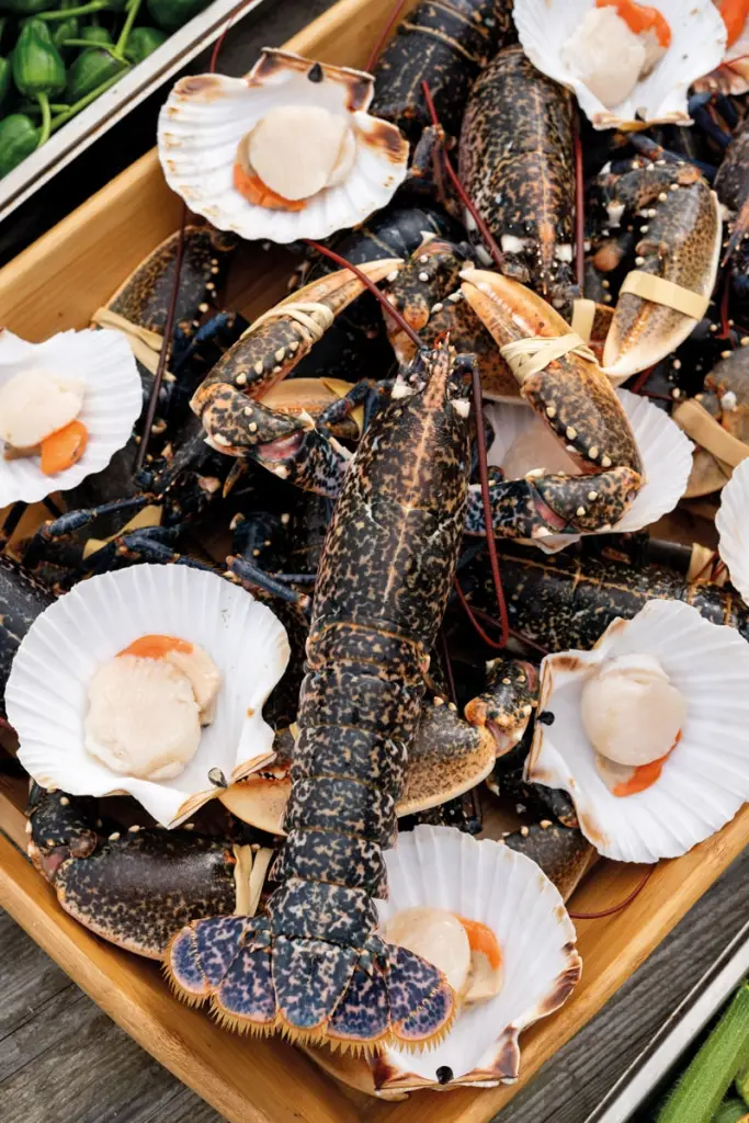 The menu depends on the season and the day’s catch – lobster feasts and scallops are, of course, always hugely popular. Photography Frankie Thomas
