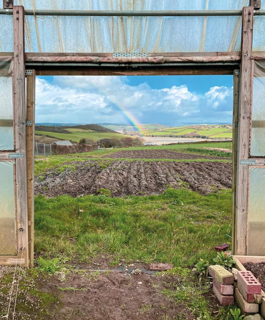 A spectacular natural vista where the countryside meets the coast – visitors can join the Saints’ Way trail from the farm and take a leisurely walk to Padstow. Photography Frankie Thomas 
