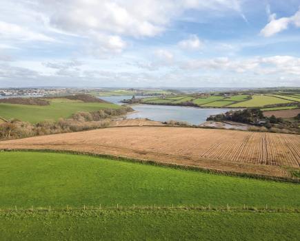 The view over Little Petherick Creek. photography Frankie Thomas