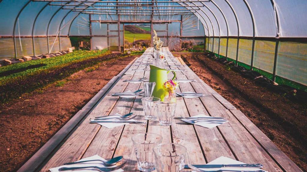 Place settings with menus at Padstow Kitchen Garden. Photography Frankie Thomas