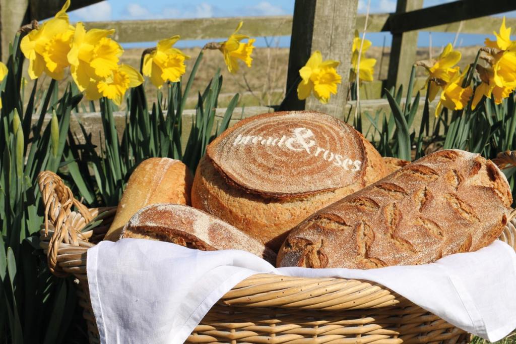 Bread and Roses - Photo Credit Rebecca Cassie