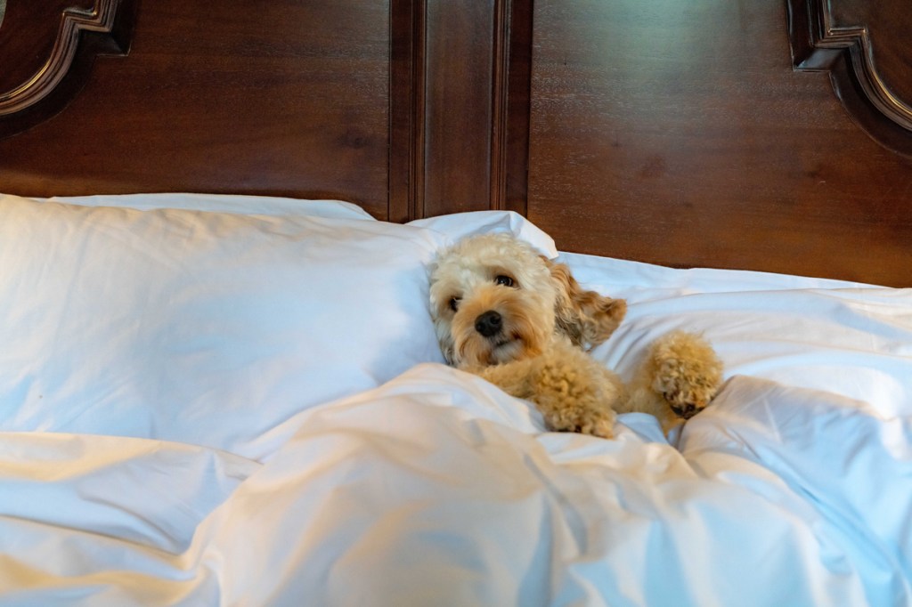 Shieldaig Lodge, Ross-shire, Scotland