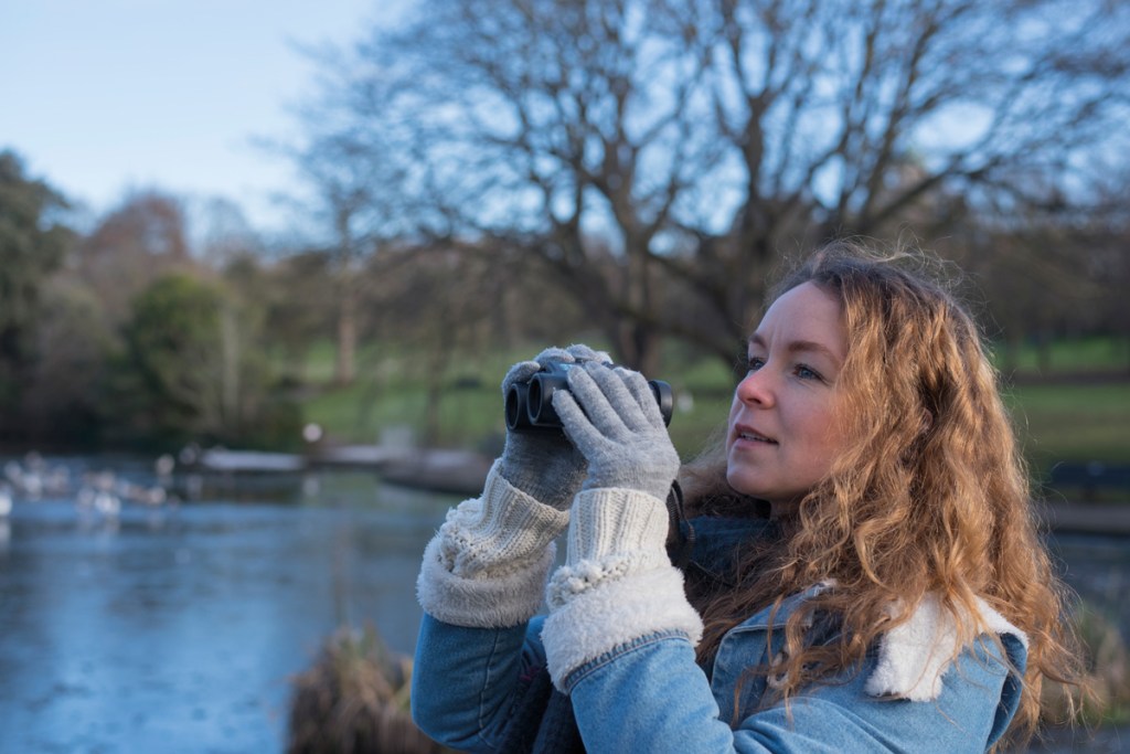 Big Garden Bird Watch - RSPB