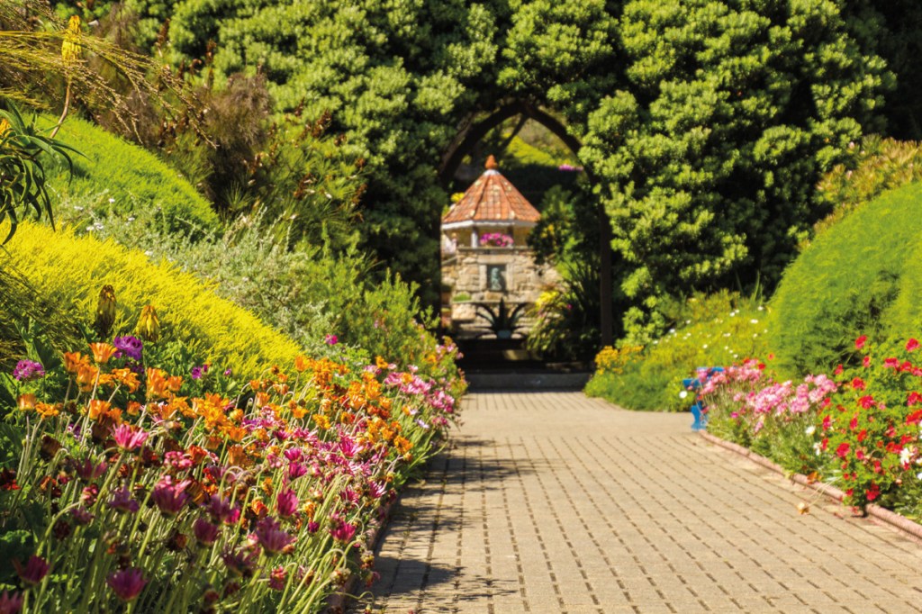 Abbey Garden may be able to catch one of Jilly’s talks – the garden’s subtropical plants and mild climate create a welcoming environment for the bees, and provide them with incredibly diverse forage, which gives their honey a unique flavour  