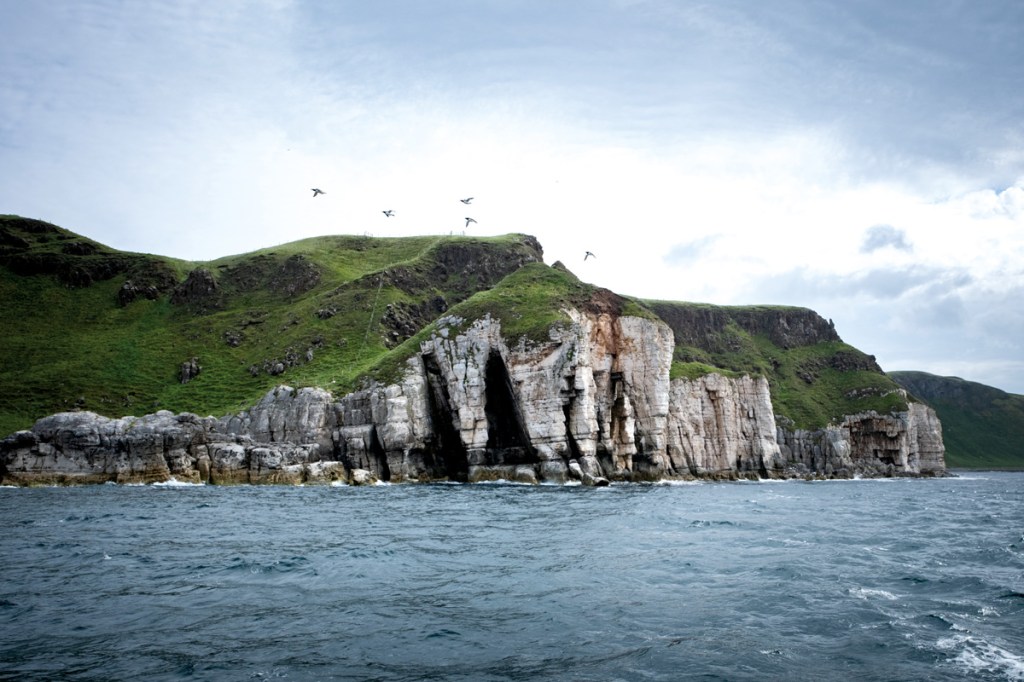 Rathlin Island is a 
wildlife watcher’s paradise