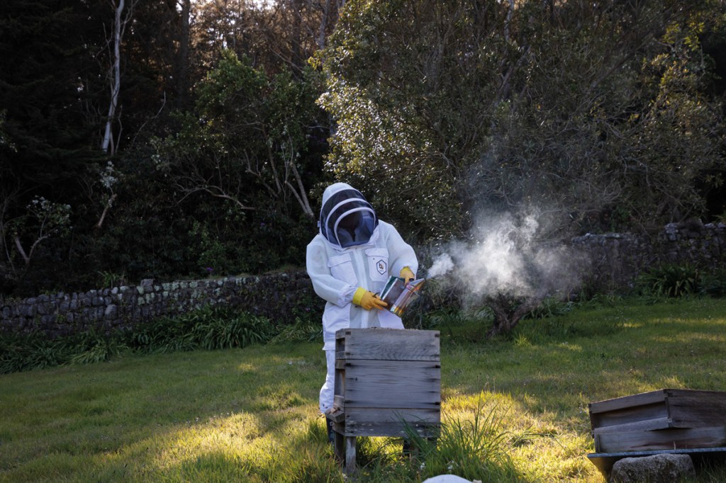 Jilly tends to a traditional hive in the garden