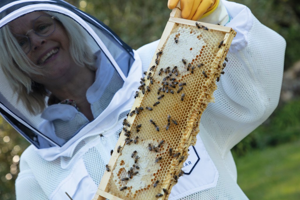 Beekeeper and conservationist Jilly Halliday