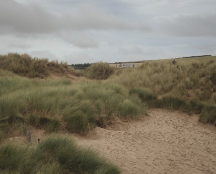 The owners wanted their new home to feel like it belonged to the land