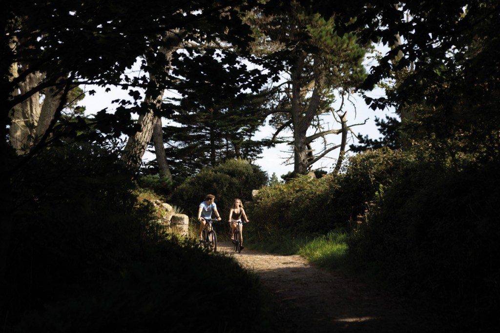 Classes on exercise, such as cycling, will be hosted by experts; the perfect end to an inspiring day