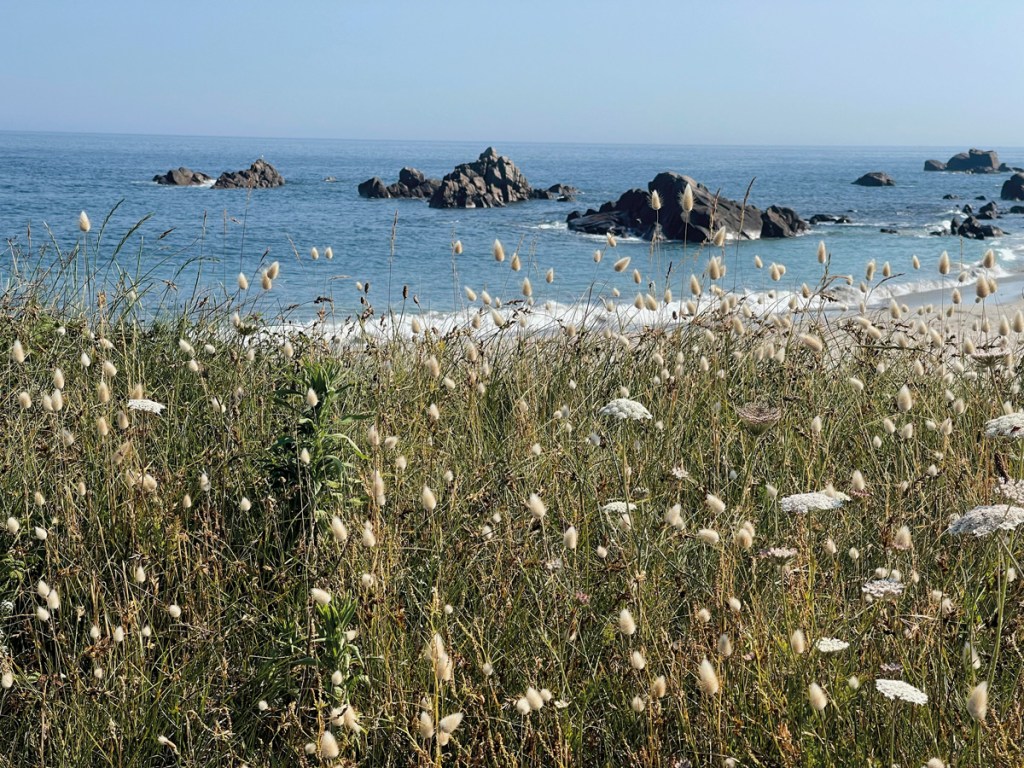 aie de la Jaonneuse – one of the island’s lesser-known coastal gems Right Claire demonstrates the craft of basketmaking – she no longer lives on Guernsey but returns often and her family home remains a base for coastal traditions