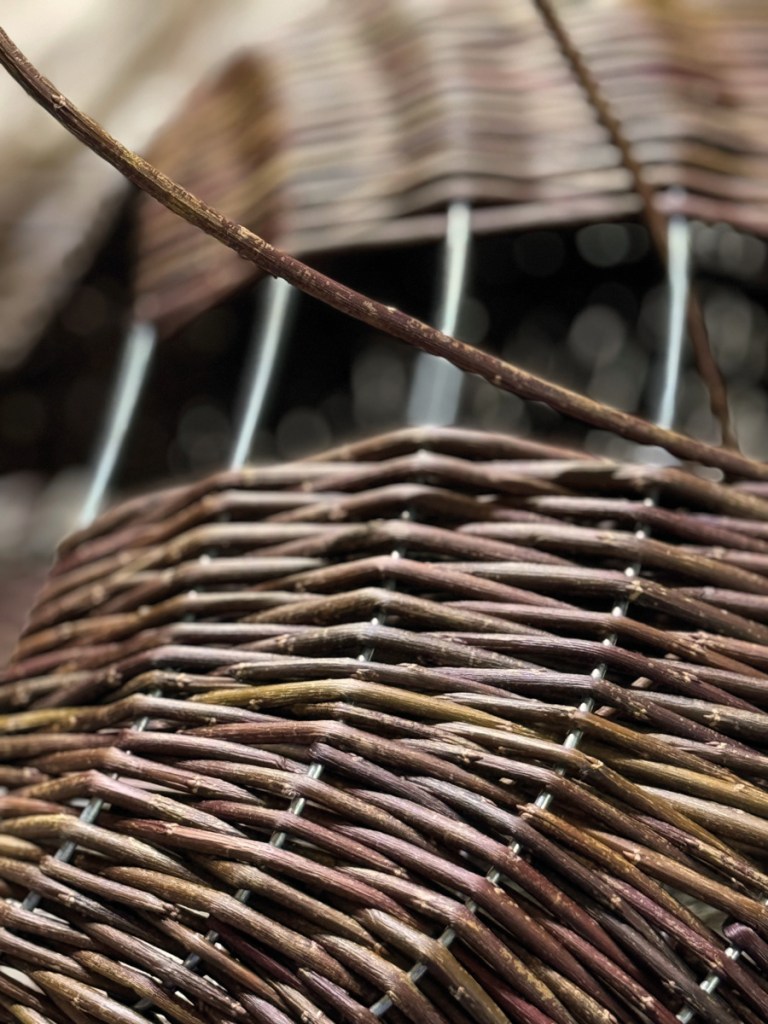 Willow craft in progress, based around a shaped wire frame – rows of willow are woven in by hand, which requires strength, skill and precision